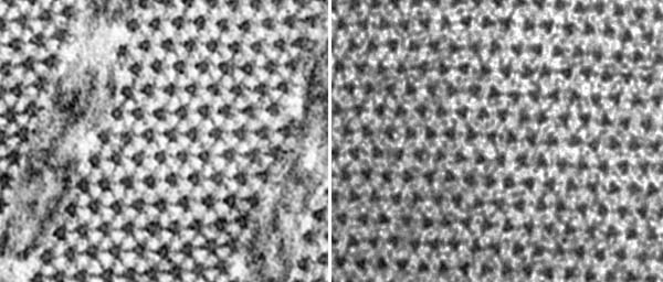 ts-simple&super ems.jpg (51036 bytes)